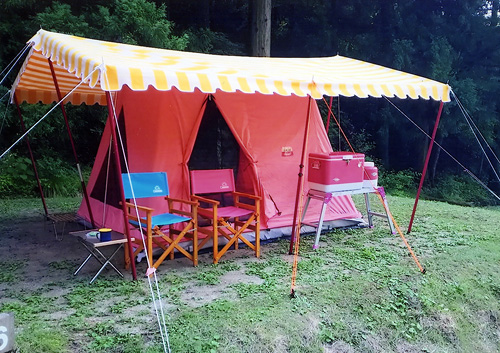 �T���u�����X�g���C�v���g�����L�����v�V�F�[�h